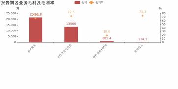 博思軟件歸母凈利潤增速56.1%創(chuàng)5年新高，技術(shù)服務業(yè)務成利潤增長核心引擎